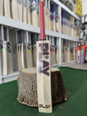 PLAY Zplus Edition Cricket Bat