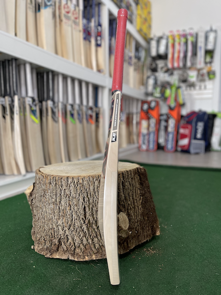 PLAY Zplus Edition Cricket Bat