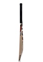 SG Cobra Gold Kashmir Willow Cricket bat