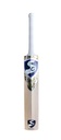 SG HP Spark Kashmir Willow Cricket bat