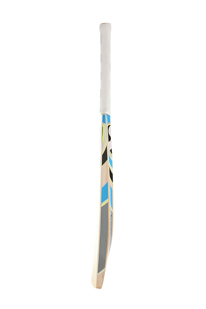 SG RSD Spark Kashmir Willow Cricket bat