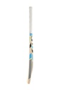 SG RSD Spark Kashmir Willow Cricket bat