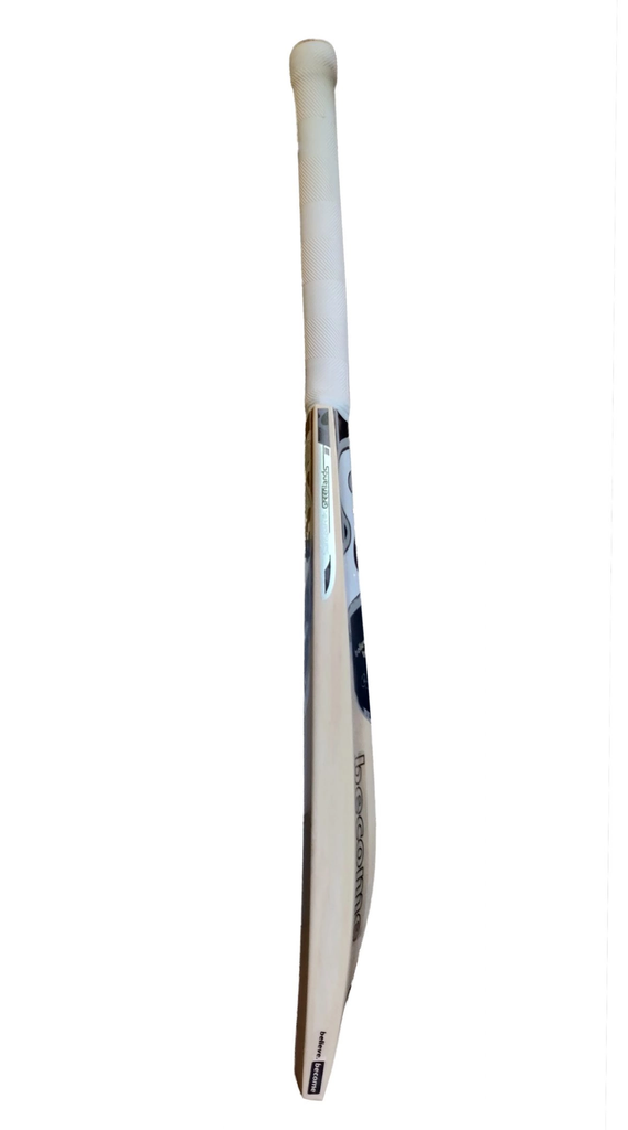 SG Roar Spark Kashmir Willow Cricket bat