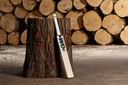 GM Aiden Markram Players Edition Cricket Bat