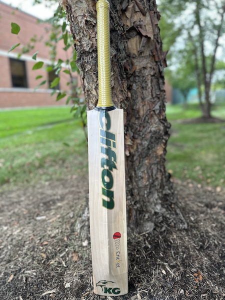 KG Reserve Cricket Bat