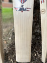 KG Maverick Cricket Bat