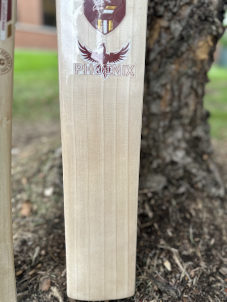 KG Phoenix Cricket Bat