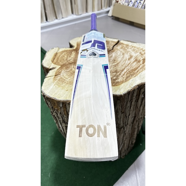 SS Champion Cricket Bat