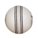 SG Shield 20 Cricket Ball - White