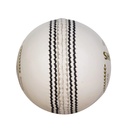 SG Shield 30 Cricket Ball - White