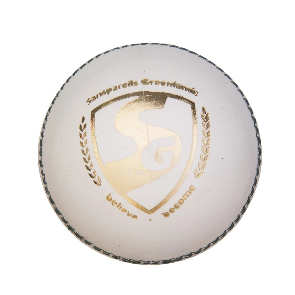 SG Test Cricket Ball - White