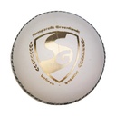 SG Test Cricket Ball - White