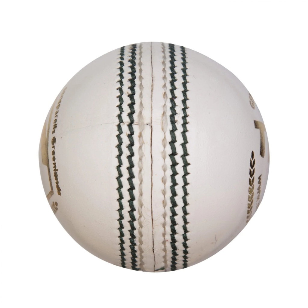 SG Test Cricket Ball - White