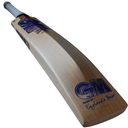 GM Brava LE Cricket Bat