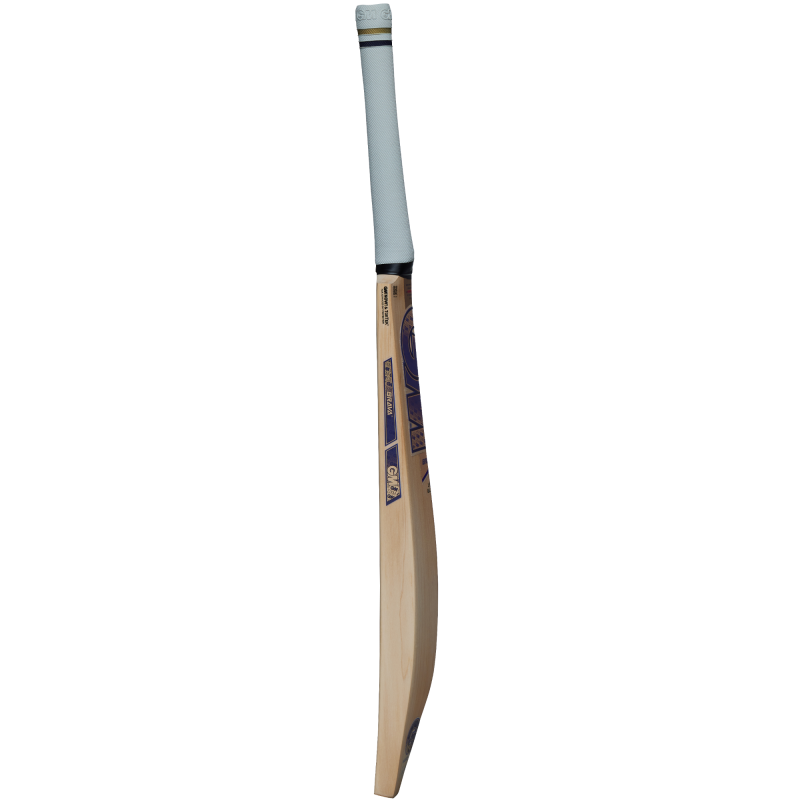 GM Brava LE Cricket Bat