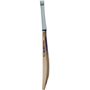 GM Brava LE Cricket Bat