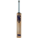 GM Brava LE Cricket Bat