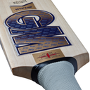 GM Brava LE Cricket Bat