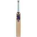GM Brava LE Cricket Bat