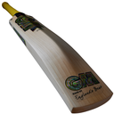 GM Psyche LE Cricket Bat
