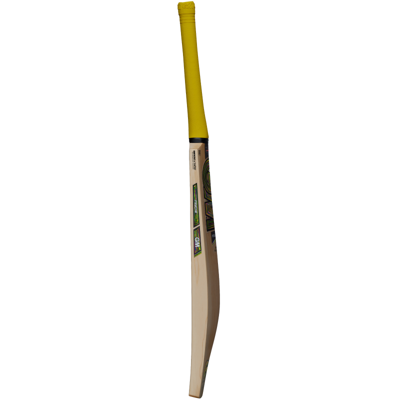 GM Psyche LE Cricket Bat