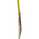 GM Psyche LE Cricket Bat