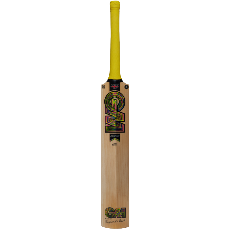 GM Psyche LE Cricket Bat