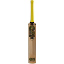 GM Psyche LE Cricket Bat