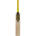 GM Psyche LE Cricket Bat