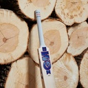 GM Mana LE Cricket Bat