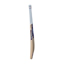 GM Mana LE Cricket Bat