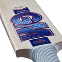 GM Mana LE Cricket Bat