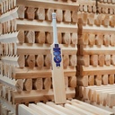GM Mana LE Cricket Bat
