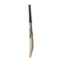 GM Aion Original Cricket Bat