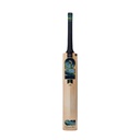GM Aion Original Cricket Bat