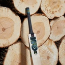 GM Aion Original Cricket Bat