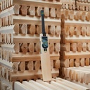 GM Aion Original Cricket Bat