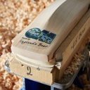 GM Aion Original Cricket Bat