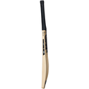 Noir_bat_profile_26_RT_2000pxl.webp