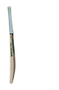 Verva_profile_RT.webp