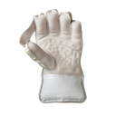 wkg_606_palm_2_1.webp