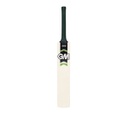 GM Argon Cricket Bat