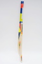 Puma evoSPEED HPI EW Cricket Bat 