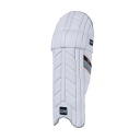 GM 909 D30 Batting Cricket Pads