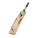 Puma evoSPEED 2500 Cricket Bat