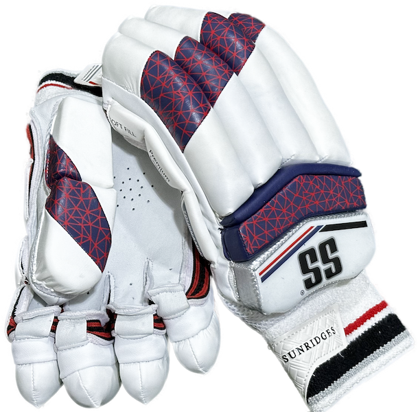 SS Tournament Batting Cricket Glove