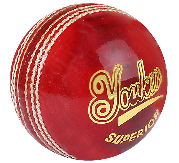 SS Yorker Special Leather Cricket Ball