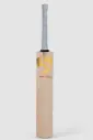SG Sunny Gold Cricket Bat 