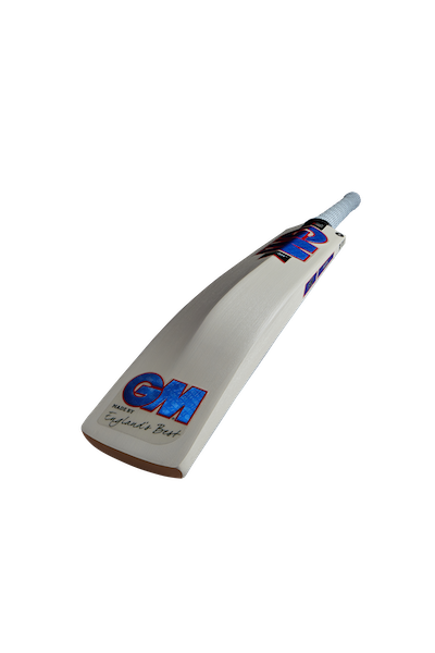 GM RADON DXM TT Cricket Bat