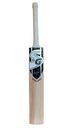 SG Roar Spark Kashmir Willow Cricket bat